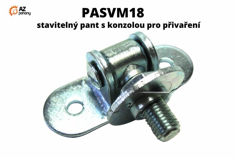 PAVSVM18